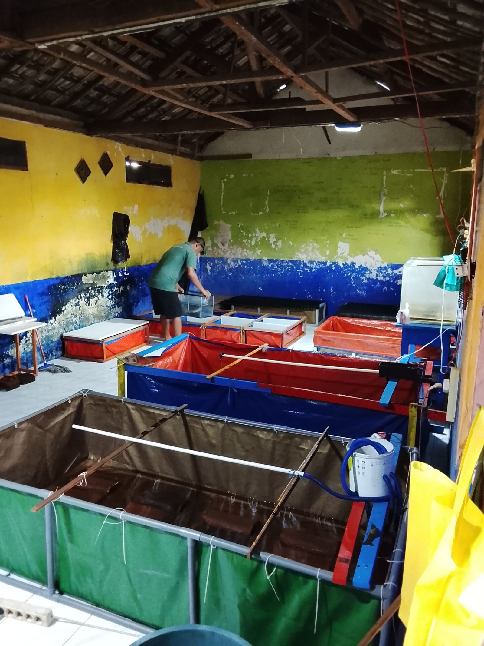 Lobster Kediri Lobstergo Lobster Air Tawar 20250420 121513Lobstergo Scaled 1