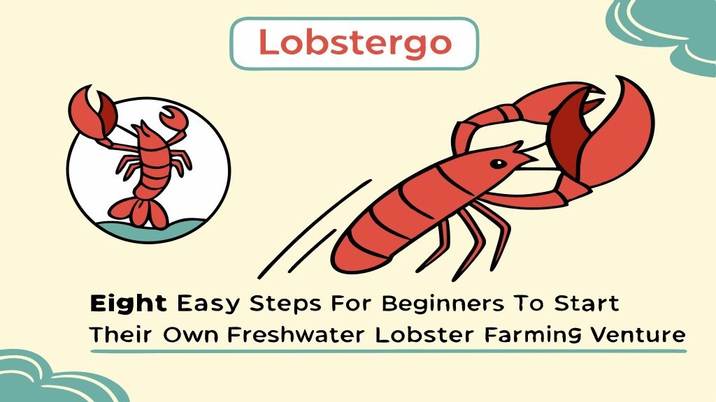 Lobster Kediri Lobstergo Budidaya Lobster Air Tawar Peluang Bi